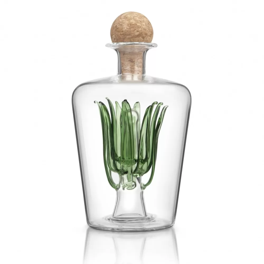 agave_tequila_decanter_2.webp Hot Agave Tequila Decanter Decanters & Pitchers