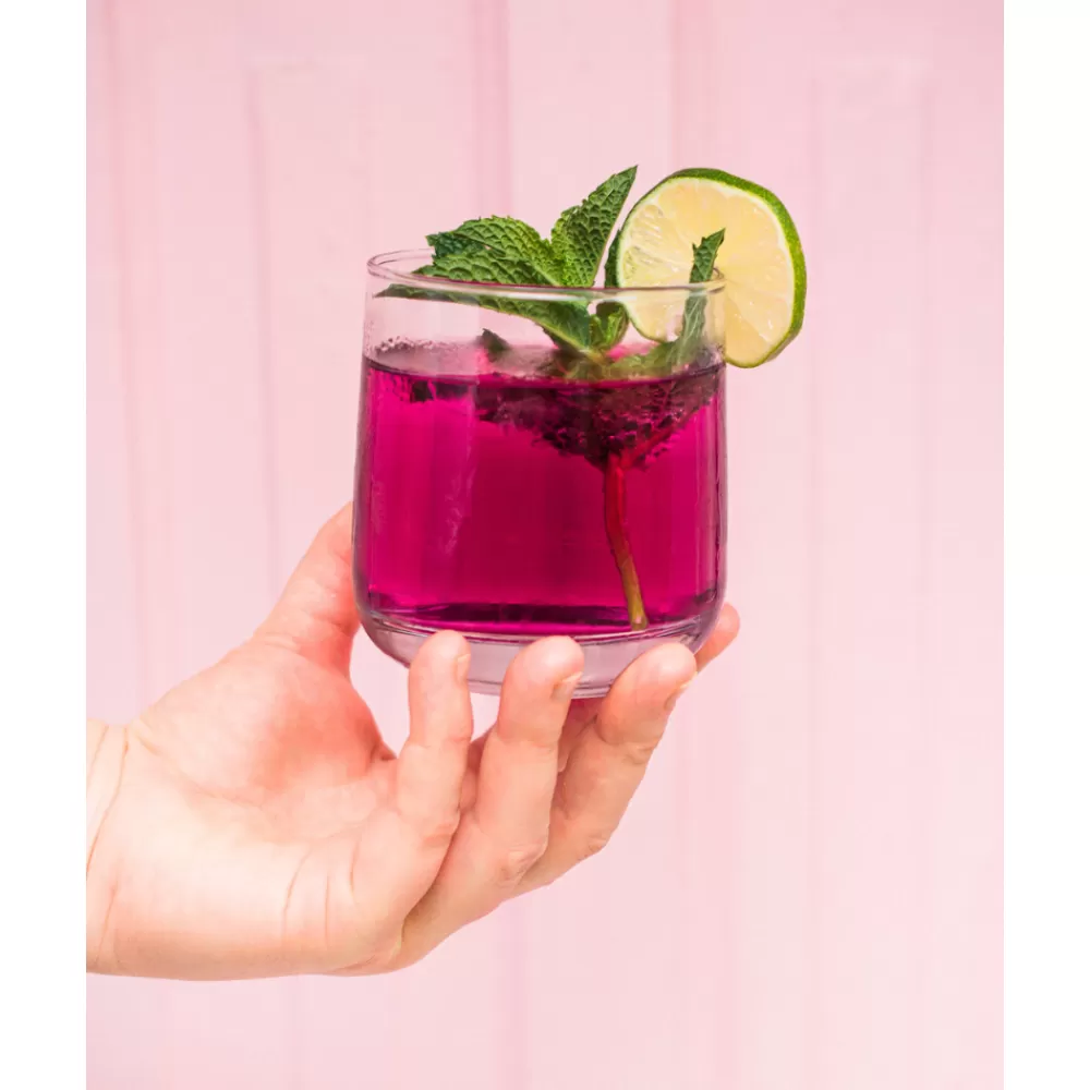 blueberry_mint_infusion_kit_2.webp Flash Sale Blueberry Mint Infusion Kit Smoking & Infusion Tools