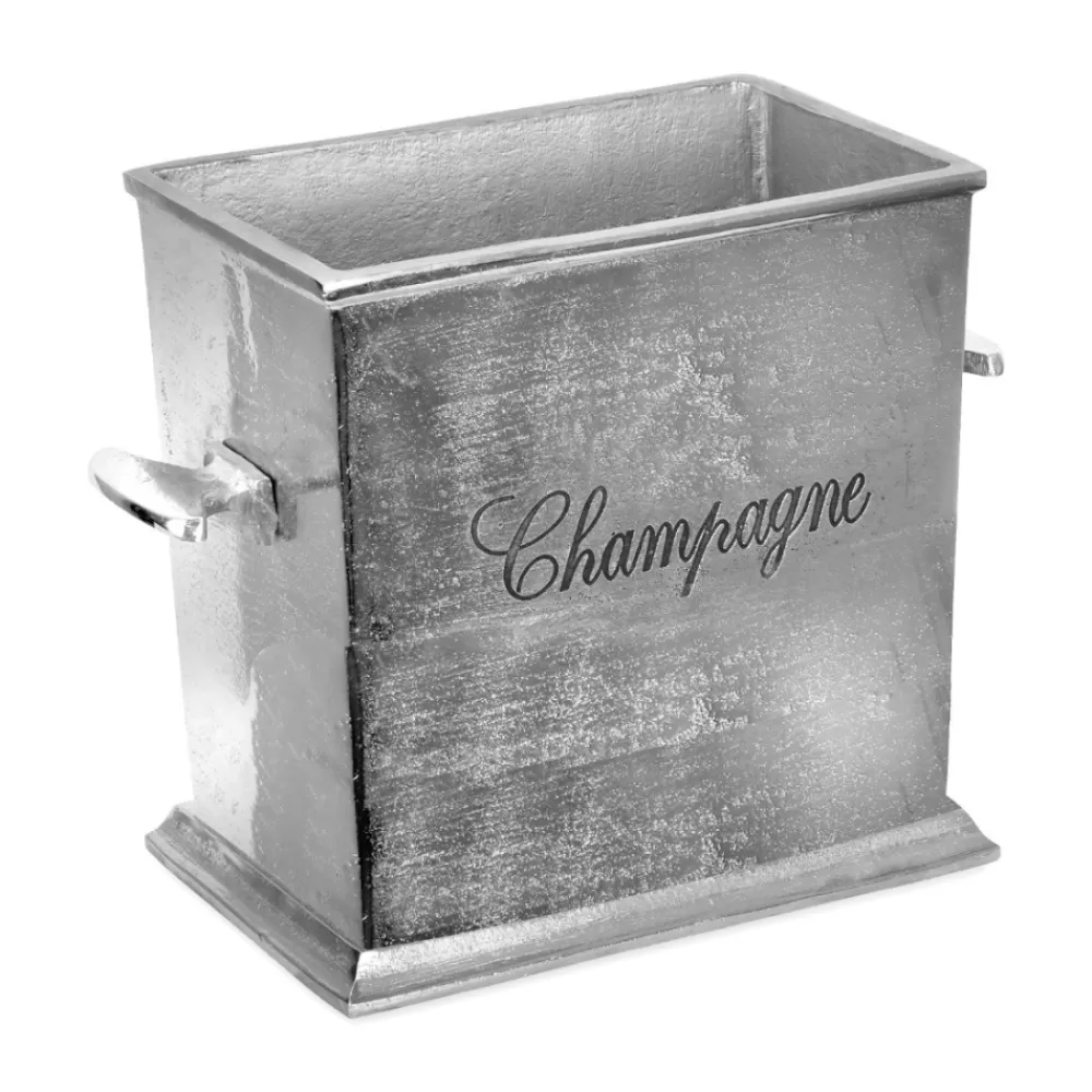 Flash Sale 2-Bottle Champagne Chiller Ice Molds + Tools