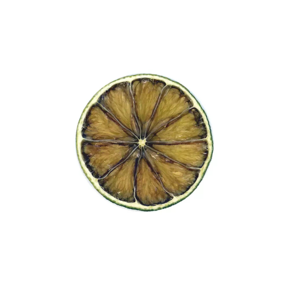 Online Dehydrated Lime Wheels Garnishes