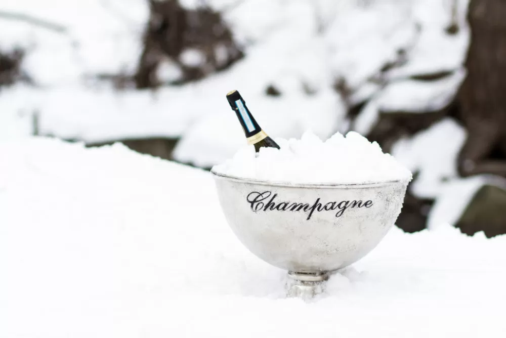 extra_large_champagne_pedestal_bowl_2.webp Discount Extra Large Champagne Pedestal Bowl Wine