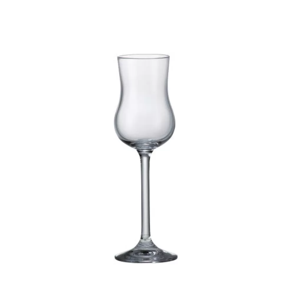 Store Grappa Glass Spirit Tasting