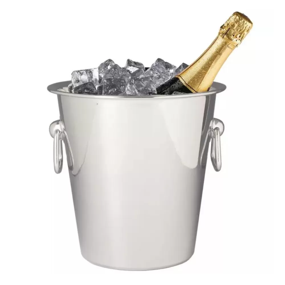 Shop Ideal Stainless Steel Wine Chiller Ice Molds + Tools