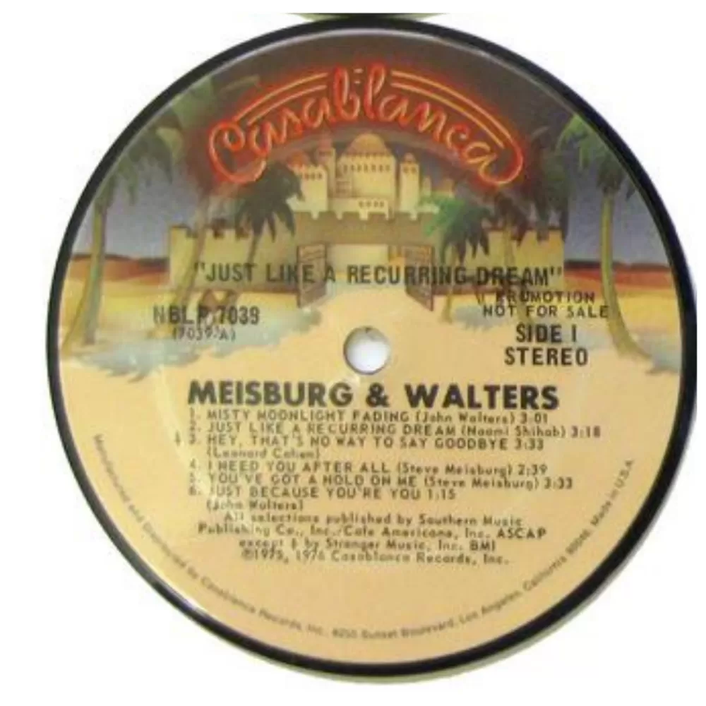 recycled_vinyl_record_coasters_4.webp Online Recycled Vinyl Record Coasters Coasters & Trays