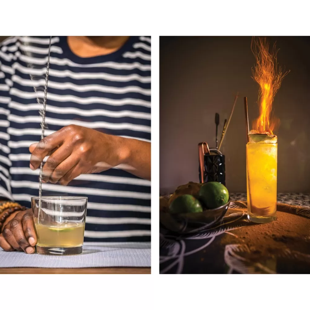 Fashion Tiki: Modern Tropical Cocktails Books