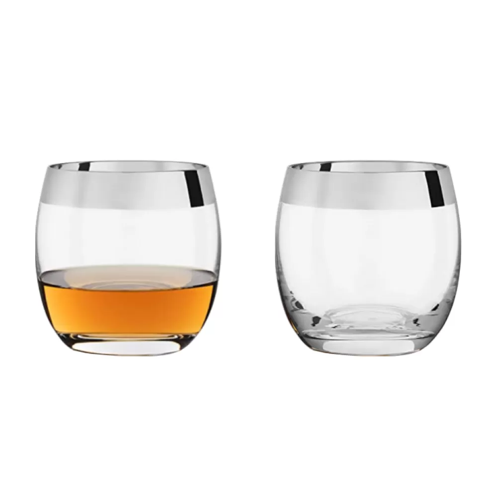 Best Viski Chrome Rim Tumblers (Set Of 2) Tumblers