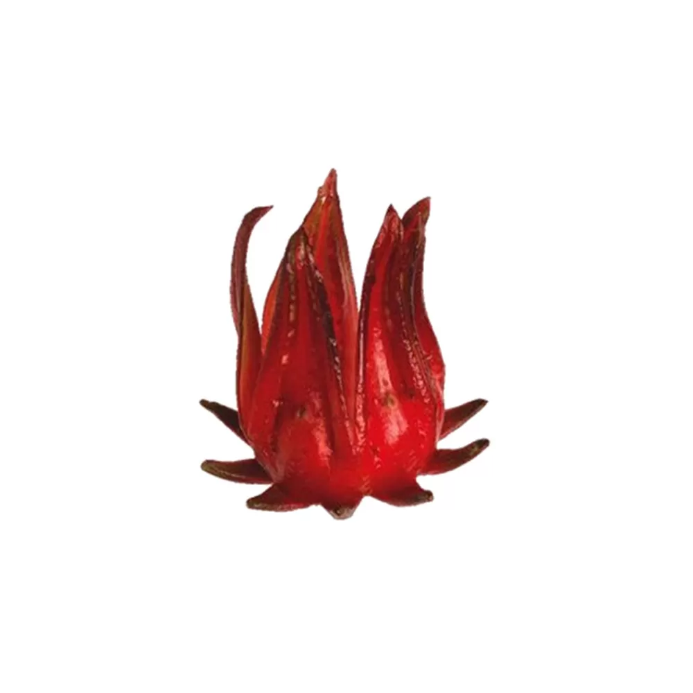 Cheap Wild Hibiscus Flowers In Syrup (1L) Garnishes